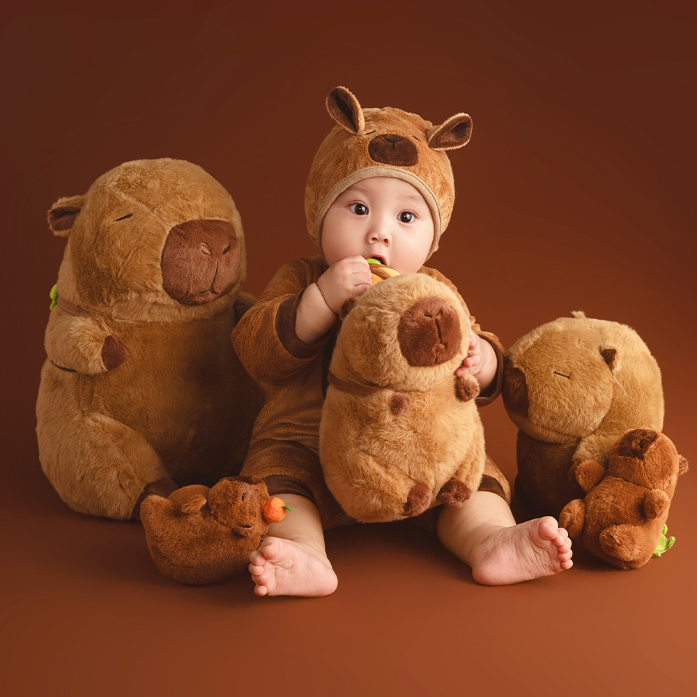 Photography Day - 100 Days Baby Celebration Theme Photography