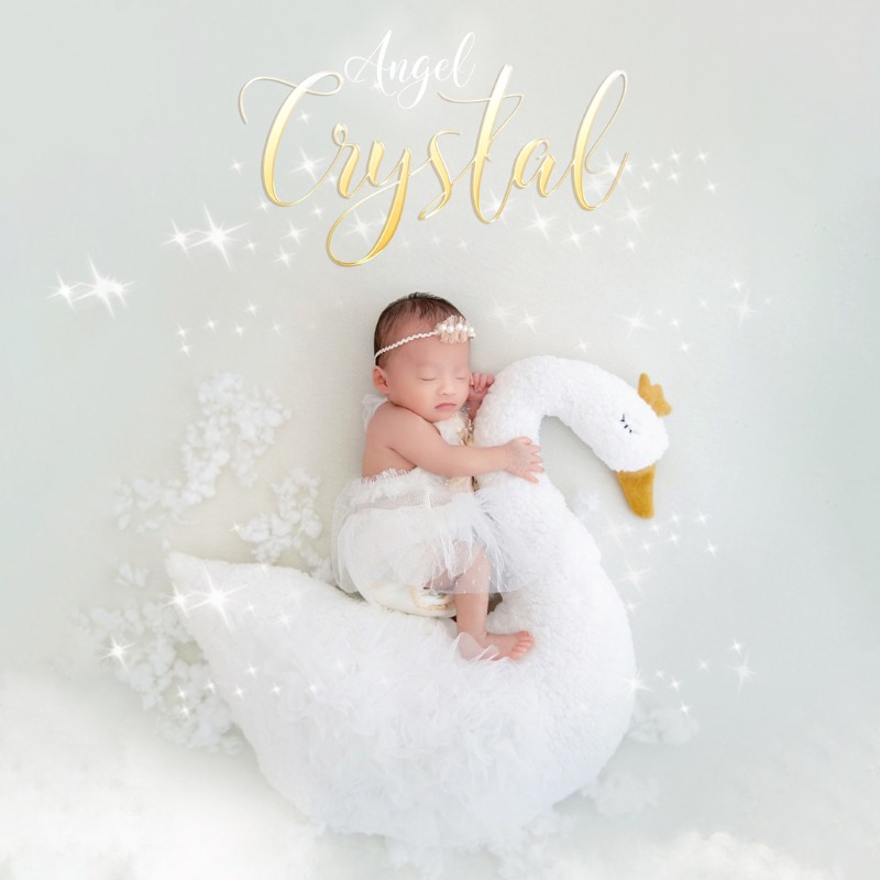 Newborn Photography Prop Swan  - Photography Day recension och pris