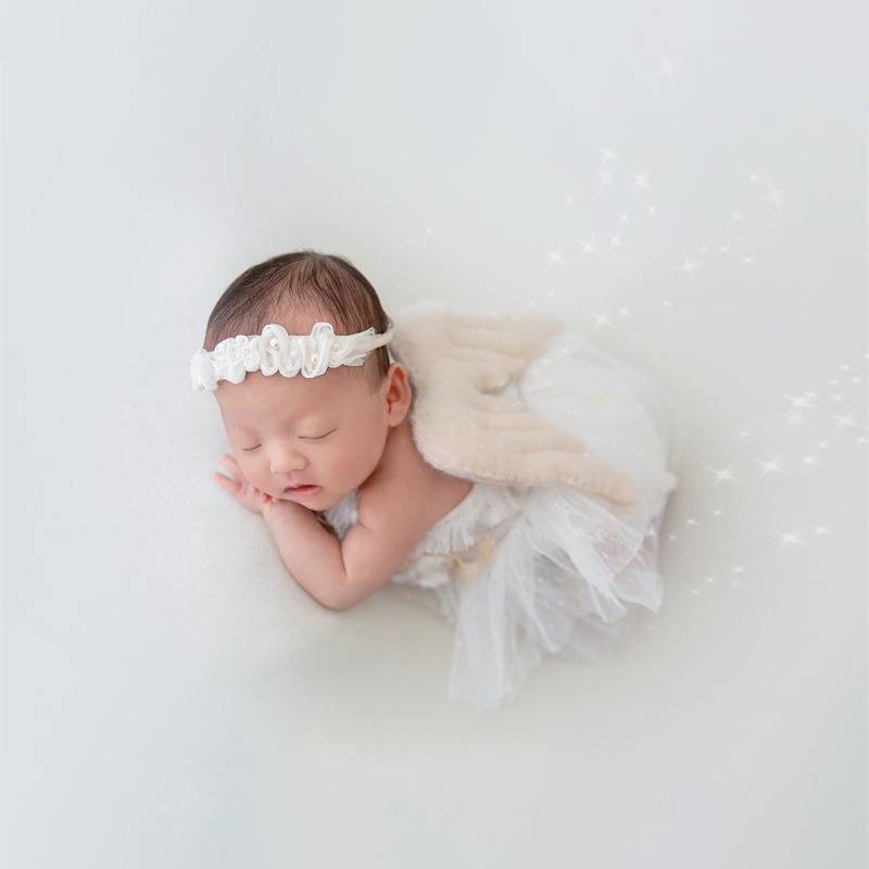Newborn Photography Prop Swan  - Photography Day recension och pris