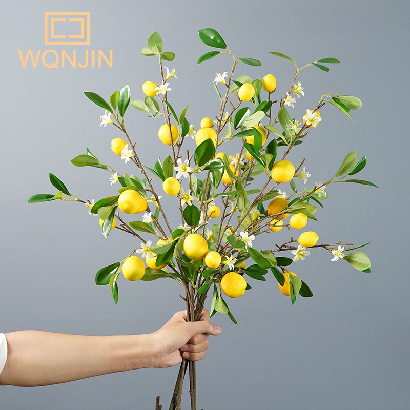 Lemon Branches With Fruit Simu - Photography Simulator recension och pris