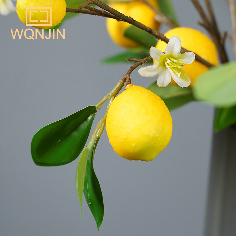 Lemon Branches With Fruit Simu - Photography Simulator recension och pris