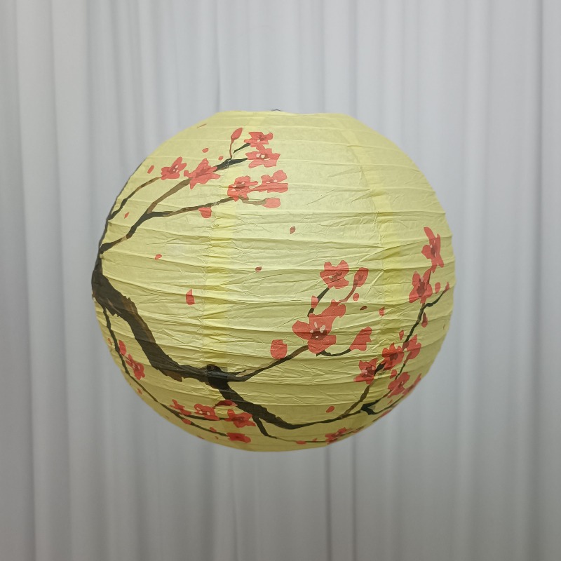 30cm Printed Paper Chinese Sty - Photography Day recension och pris