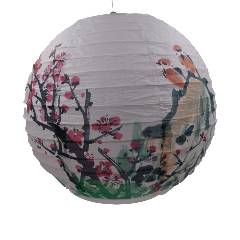 30cm Printed Paper Chinese Sty - Photography Day recension och pris