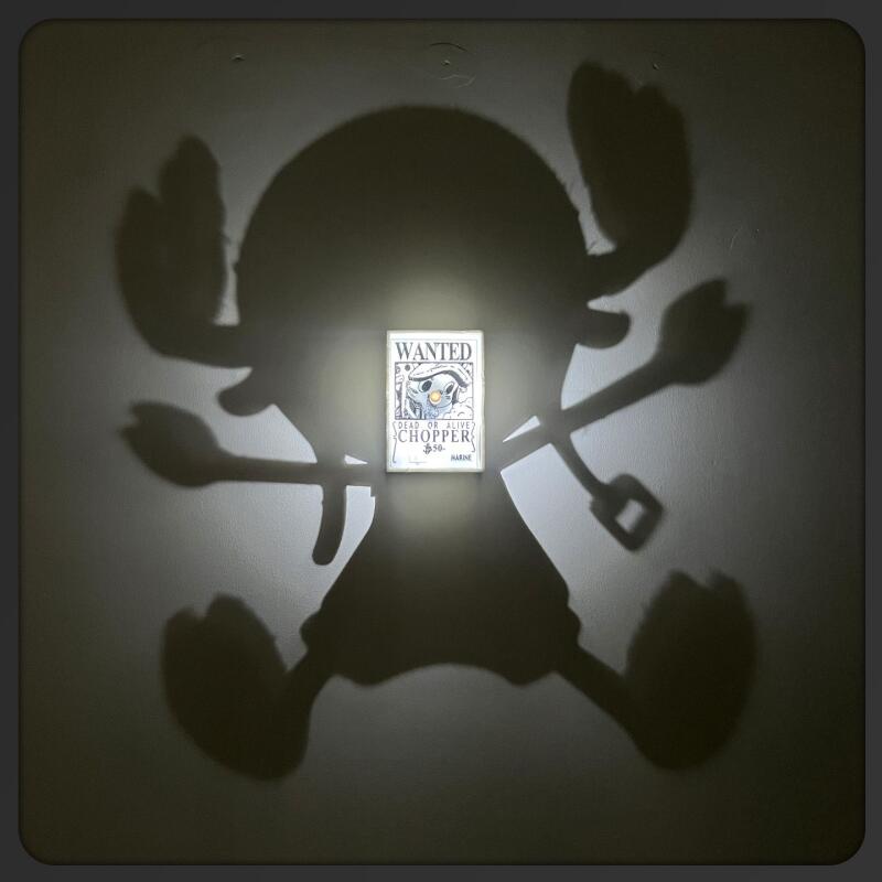 Cartoon Toy One Piece Light Sh - Photography Darkroom recension och pris